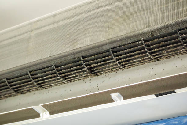 Best Duct Cleaning for Offices  in Mp Pendleton South, CA
